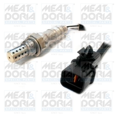 Oxygen Sensor